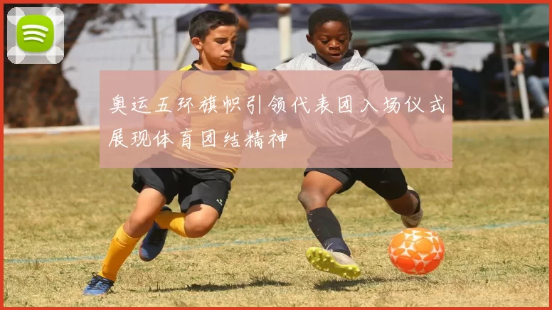 奥运五环旗帜引领代表团入场仪式展现体育团结精神