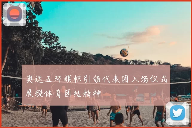 奥运五环旗帜引领代表团入场仪式展现体育团结精神