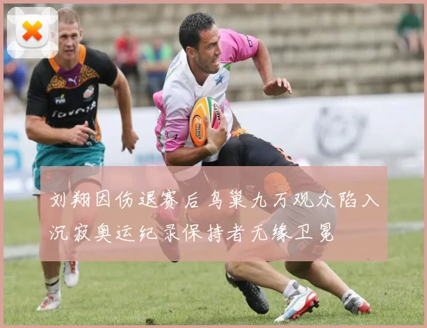 刘翔因伤退赛后鸟巢九万观众陷入沉寂奥运纪录保持者无缘卫冕